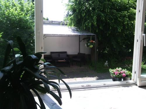 Jardin de l'établissement Pension TimeOut