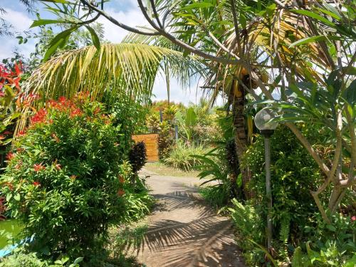 um jardim com flores e um caminho com uma palmeira em triangle cottage bali em Ambengan