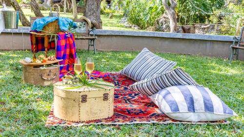 Un jardín fuera de Phelwana Game Lodge