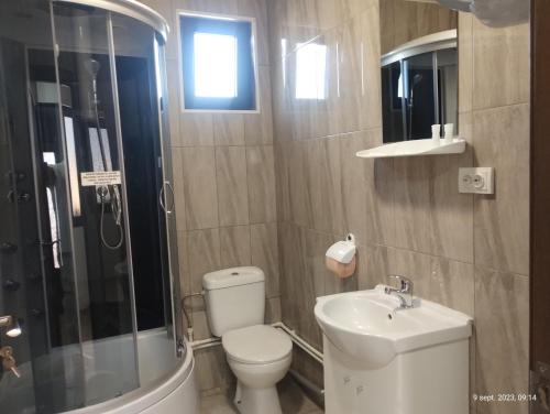 a bathroom with a toilet and a sink and a shower at Casa de la ghiol in Murighiol
