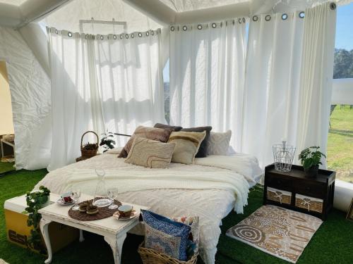 Cama en habitación con cortinas blancas y mesa en Coonawarra Hampton Bubble 2 en Comaum