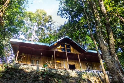 une maison dans les bois avec des arbres dans l'établissement Vamoose Weekend Resort, à Rhenok