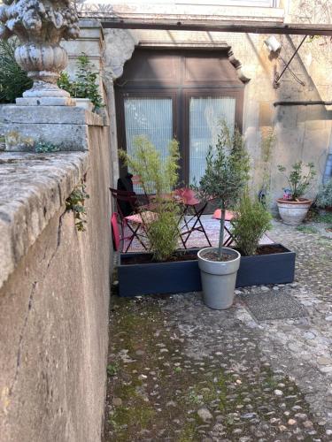 a group of potted plants in front of a house at Salut Le Petit Gite in Carcassonne