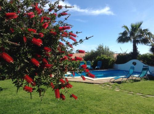 La alberca dentro o cerca de B&B Villa Di Giorgi
