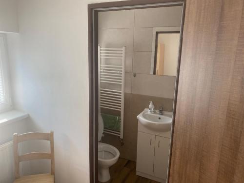 a bathroom with a toilet and a sink and a mirror at Penzion Norden in Mariánské Radčice