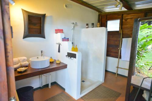 Argy的住宿－Tree Lodge Mauritius Villa，一间带水槽和淋浴的浴室