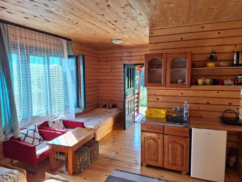 a kitchen and living room of a log cabin at Kolibe Ćorić in Mojkovac