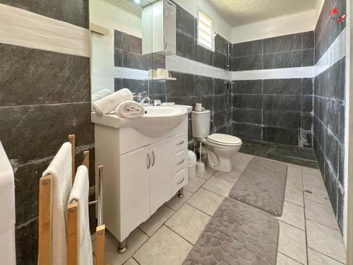 a bathroom with a sink and a toilet at Chez Zèlou in Sainte-Anne