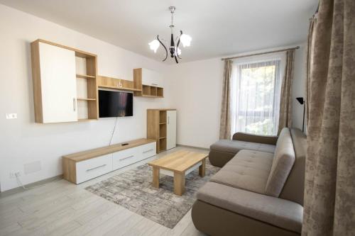 - un salon avec un canapé et une télévision dans l'établissement DownTown Apartments, à Rădăuţi