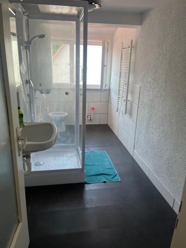 a bathroom with a glass shower and a sink at Rose Gasthaus in Crailsheim