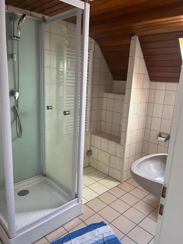 La salle de bains est pourvue d'une douche, d'un lavabo et de toilettes. dans l'établissement Rose Gasthaus, à Crailsheim