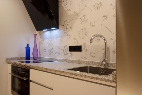 a kitchen with a sink and a counter top at Palacio del Marqués en Logroño con parking próximo in Logroño