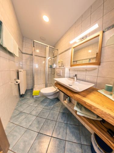 a bathroom with a sink and a toilet at Gasthof Schneiderwirt, Kipfenberg OT Hirnstetten in Kipfenberg