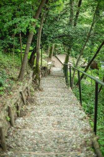 a path in a park with trees and benches at Porto Gumati in Kutaisi