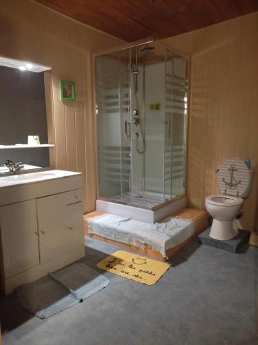 La salle de bains rénovée est pourvue d'une douche et de toilettes. dans l'établissement Auberge Hôtel chambre Tout Confort B-B et Restaurant Les Colombes, à Sugny