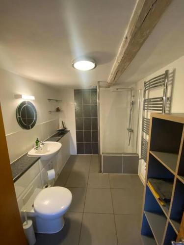 a bathroom with a toilet and a sink and a shower at Oyster Barn sleeps six, North Norfolk in Roughton