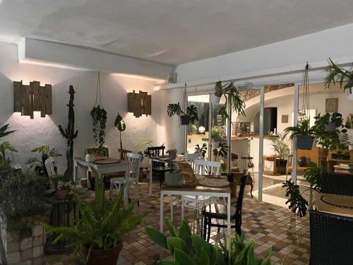 a dining room with plants and a table and chairs at Black Market Hotel in Ischia