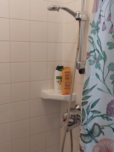 een douche in een badkamer met een douchegordijn bij Nostalginen residenssi Taika in Varkaus