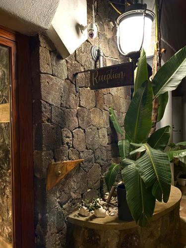a plant sitting on a table next to a brick wall at Black Market Hotel in Ischia