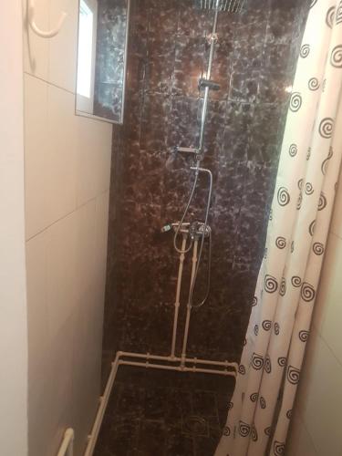 a bathroom with a shower with a shower curtain at VILA MILA SOKOBANJA in Soko Banja