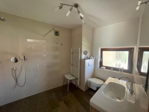 a bathroom with a sink and a toilet and a shower at Ferienwohnung Lilly in Eitelborn