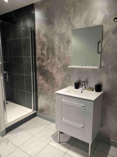 une salle de bain avec une douche, un lavabo et un miroir dans l'établissement Chez Kikou, à Sisteron