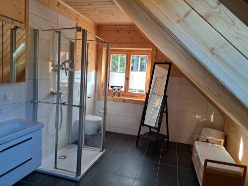 a bathroom with a glass shower and a sink at Schwabenhütte in Sirnitz-Sonnseite