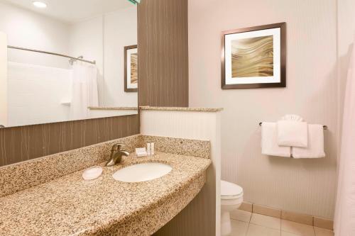 a bathroom with a sink and a toilet at Courtyard by Marriott Dallas Arlington South in Arlington