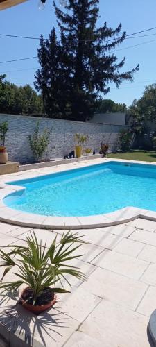 a large swimming pool with a potted plant next to it at Studio in Sorgues