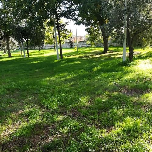 a park with trees and green grass and a field at Camping Almoetia in Calatabiano