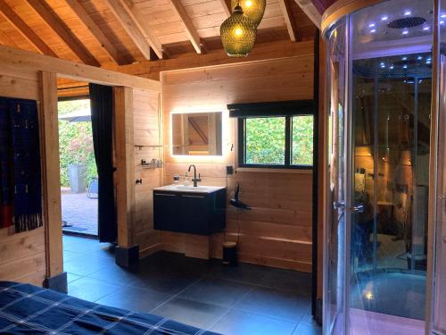 uma casa de banho com um lavatório e um chuveiro num quarto em The Miller's Lodge B&B 