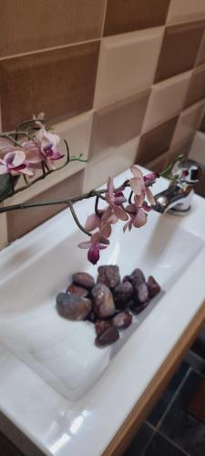 a white plate with flowers and rocks on it at EL RECOVECO DE MIRA in Mira