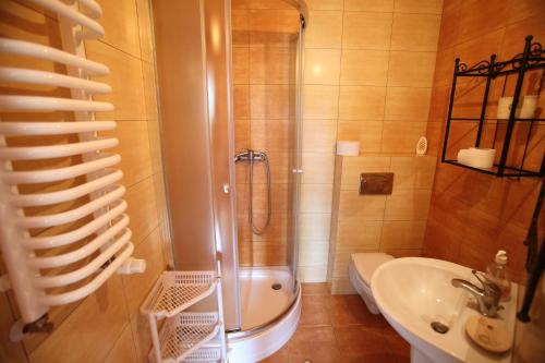 a bathroom with a shower and a tub and a sink at Siedlisko Brzeziniak in Cisna