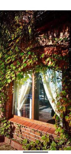 a window in a brick building with ivy at Hotel Kresowianka in Konin