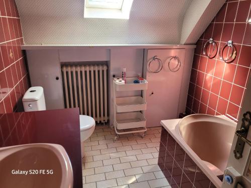 La salle de bains est pourvue de carrelage rose, d'un lavabo et de toilettes. dans l'établissement Cottage de 13 personnes proche du Mans, à Le Breil-sur-Mérize