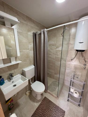 un bagno con wc, doccia e lavandino di Apartman Sofija HN a Herceg-Novi