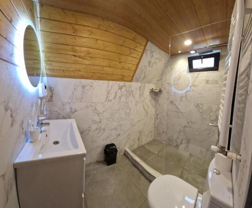 a bathroom with a sink and a toilet and a shower at Misty Rocks Kazbegi in Stepantsminda