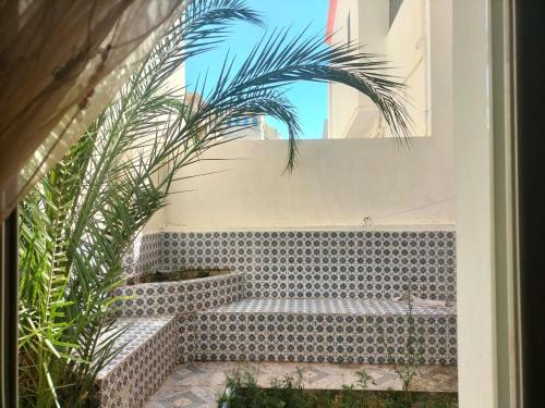 a courtyard with a bench and a palm tree at Tiba soliman plage in Nabeul