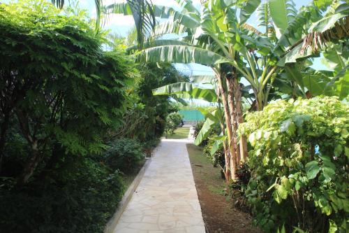 a walkway through a garden with trees and plants at Gite bagatelle classé 2 étoiles in Sainte-Rose