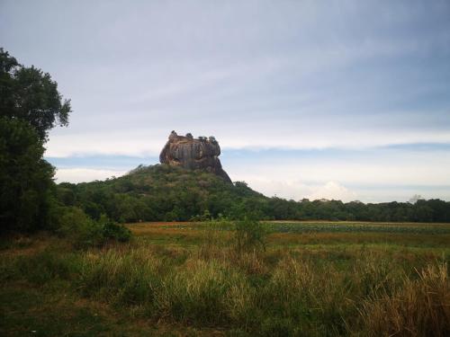 a rock formation on a hill in a field at Hotel Bird Paradise in Sigiriya