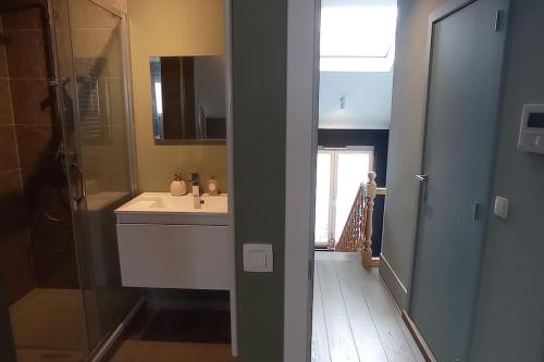 een badkamer met een wastafel, een douche en een spiegel bij Brussel-center lux apartment in Brussel