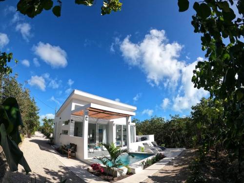 Un jardín fuera de Gracehaven Villas -Choose you own private villa with pool - 250 yds to Grace Bay beach