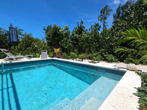 La alberca dentro o cerca de Gracehaven Villas -Choose you own private villa with pool - 250 yds to Grace Bay beach