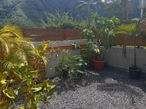 Photo de la galerie de l'établissement Le cerisier, à Entre-Deux