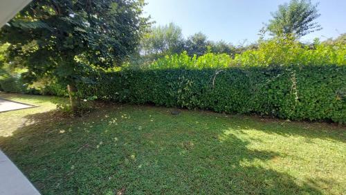 a backyard with a hedge and a yard withgrass at Libre comme l'air ! in Idron
