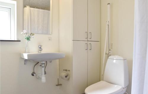 ein Badezimmer mit einem weißen WC und einem Waschbecken in der Unterkunft Pet Friendly Home In Spjald With Kitchen in Spjald