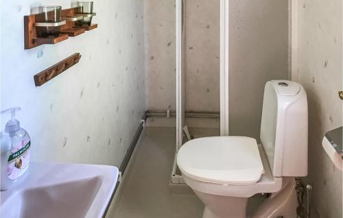ein Bad mit einem WC und einem Waschbecken in der Unterkunft Beautiful Home In Kpingsvik With House A Panoramic View in Köpingsvik