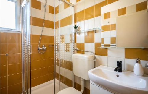 ein Bad mit einer Dusche, einem WC und einem Waschbecken in der Unterkunft Stunning Apartment In Vinisce With Kitchen in Vinišće