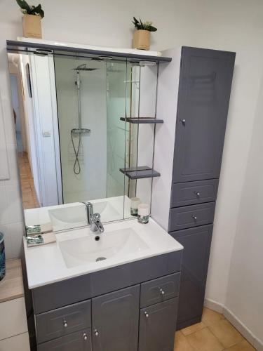 une salle de bain avec un lavabo et un miroir dans l'établissement Bas de villa F3 proche Ajaccio, à Cuttoli-Corticchiato