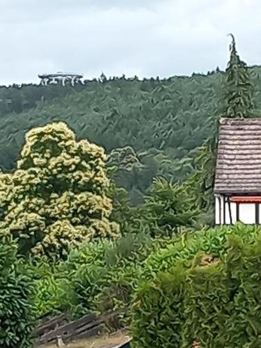 una pintura de una montaña con una casa y árboles en Au tonneau bleu, en Lembach